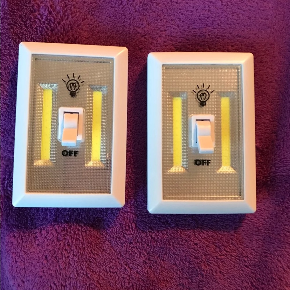 Portable light